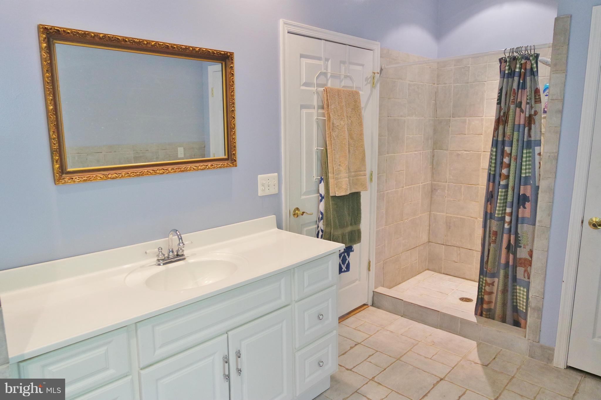 974 North Maple Road Mount Jackson, VA 22842 - Photo 21 of 30 a bathroom with a sink and a mirror