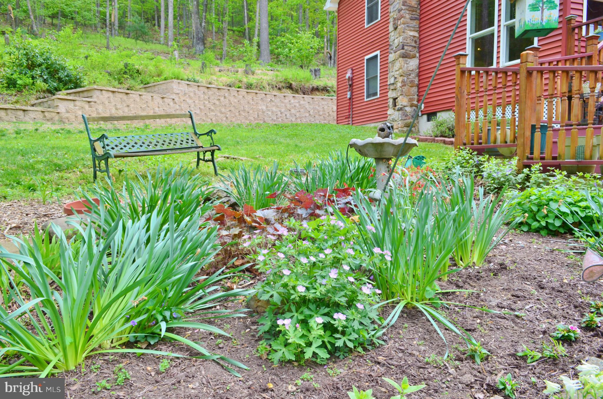 974 North Maple Road Mount Jackson, VA 22842 - Photo 26 of 30 a view of a backyard with plants