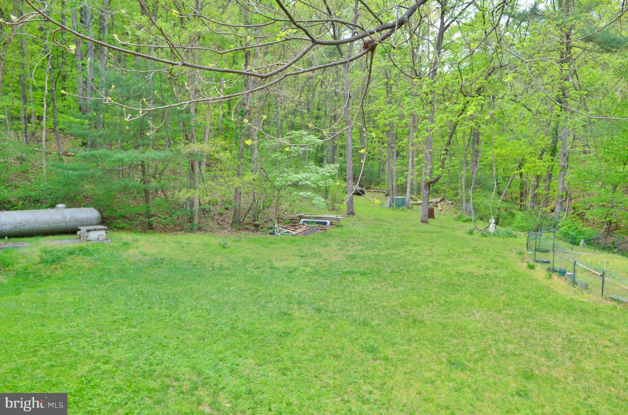 974 North Maple Road Mount Jackson, VA 22842 - Photo 30 of 30 a view of a green field with plants