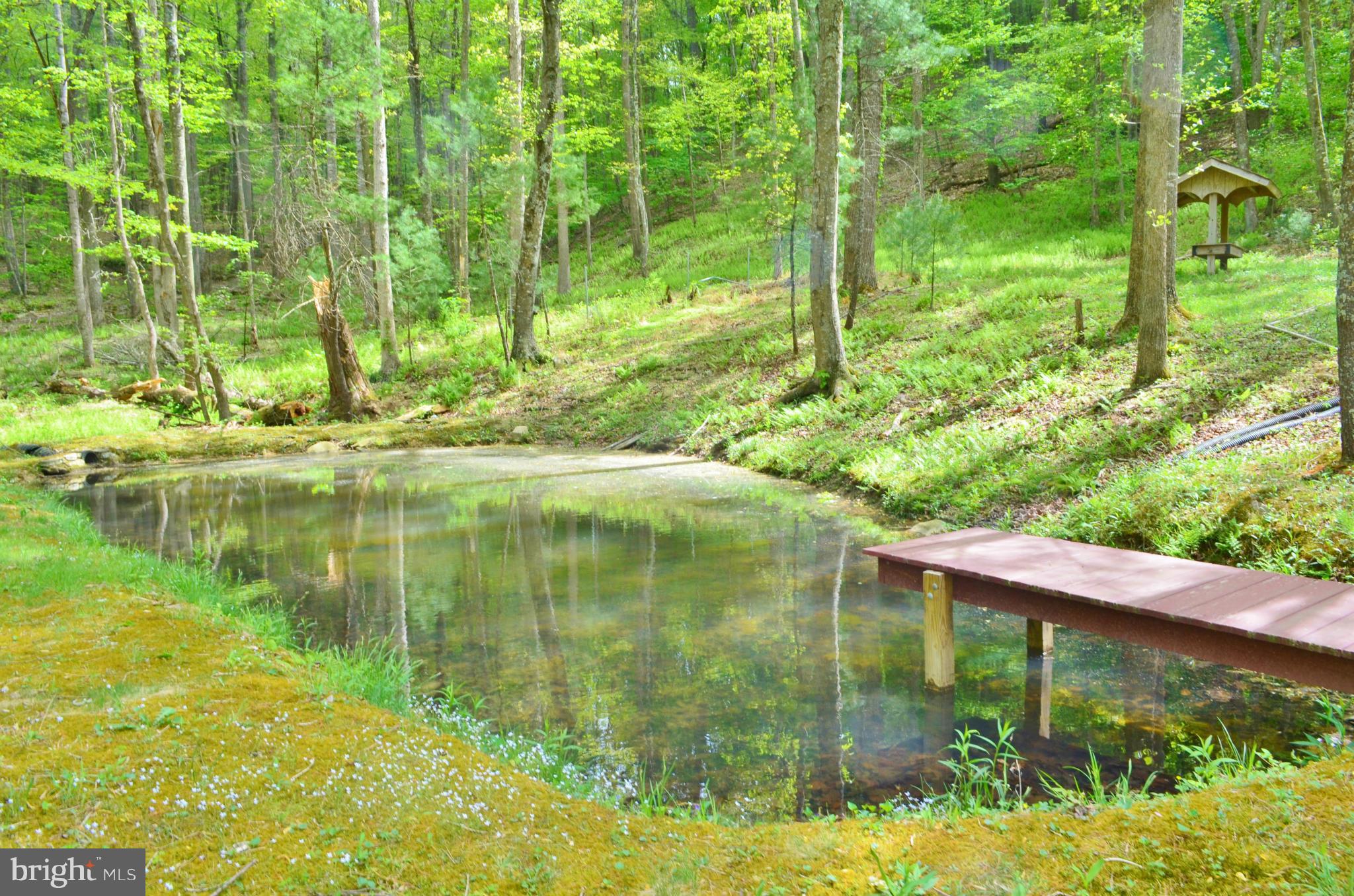 974 North Maple Road Mount Jackson, VA 22842 - Photo 4 of 30 a backyard of a house with lots of green space and fountain