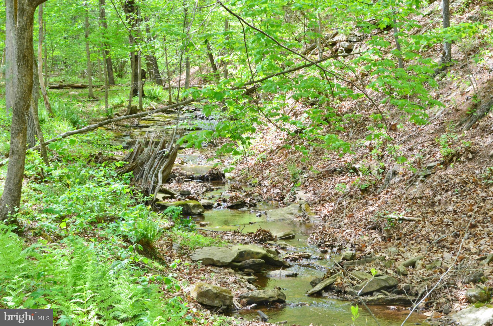 974 North Maple Road Mount Jackson, VA 22842 - Photo 7 of 30 a backyard of a house with lots of green space