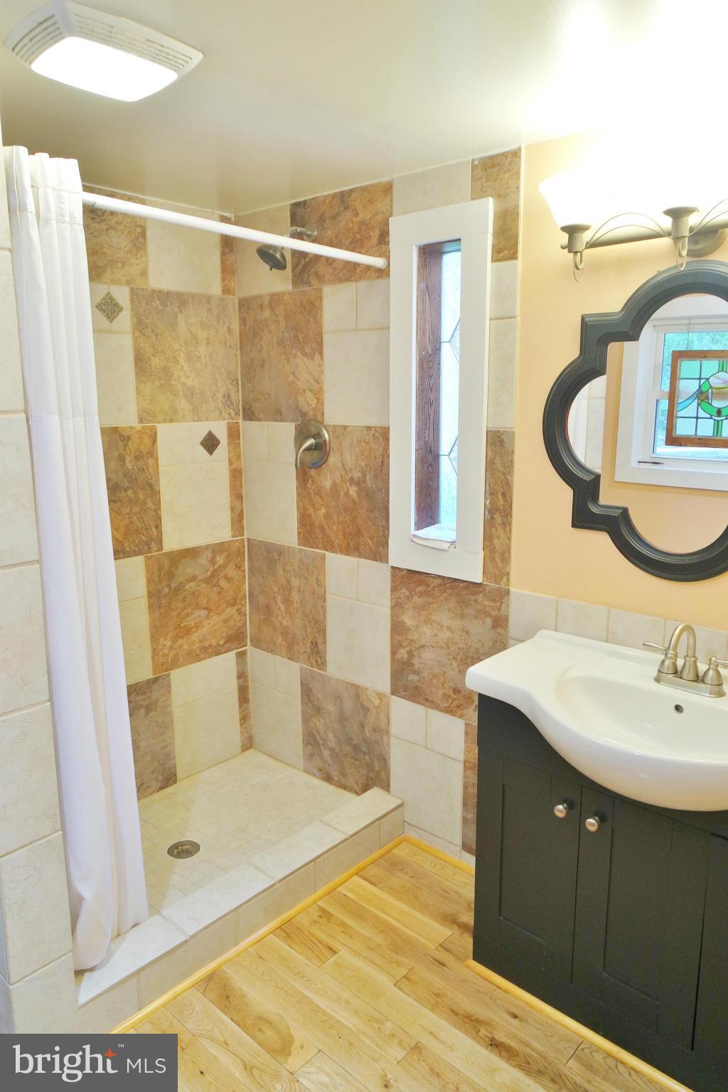 974 North Maple Road Mount Jackson, VA 22842 - Photo 8 of 30 a bathroom with a shower sink and mirror