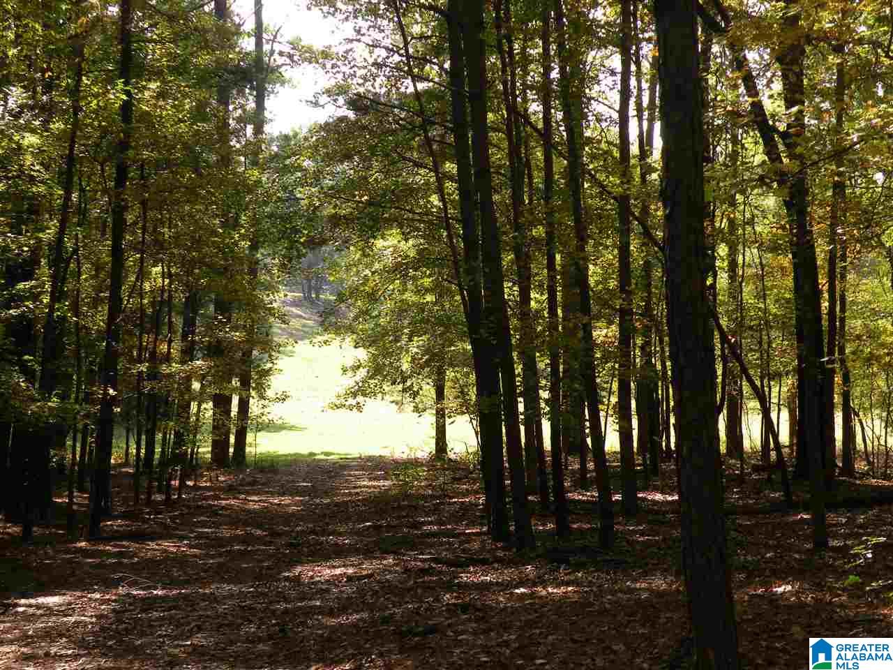 4950 Plantersville Road Alpine, AL 35014 - Photo 28 of 47 Gallery Image 28
