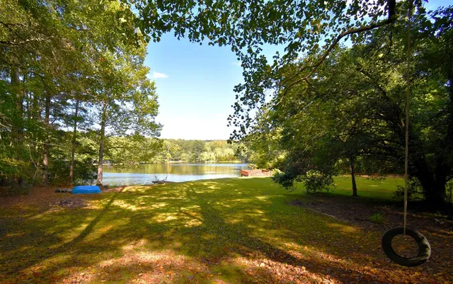 a view of yard with tree