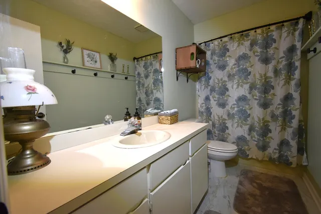 a bathroom with a sink and a toilet