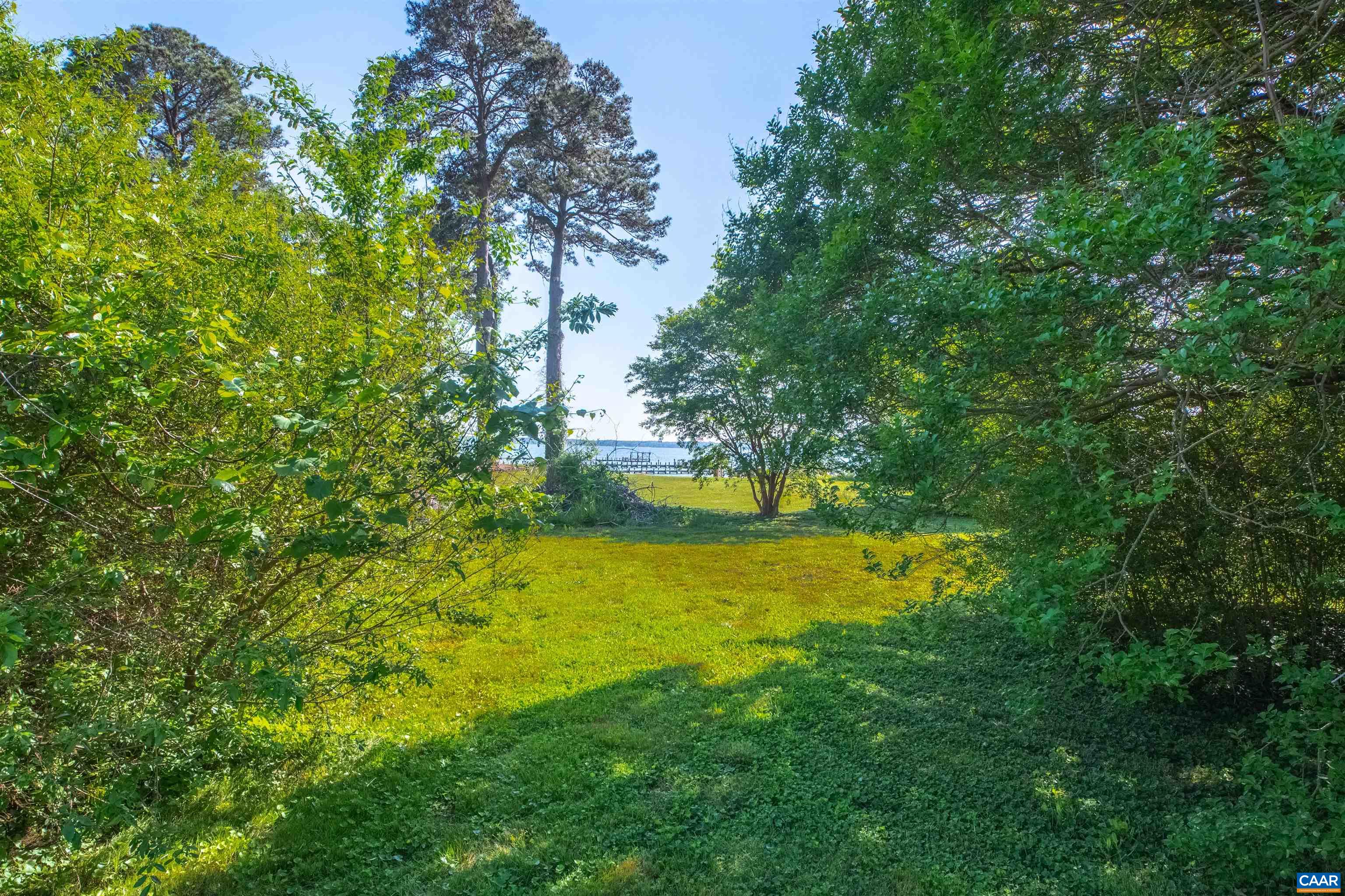 0 Fishing Bay Road Deltaville, VA 23043 - Photo 5 of 13 a view of a yard with a tree