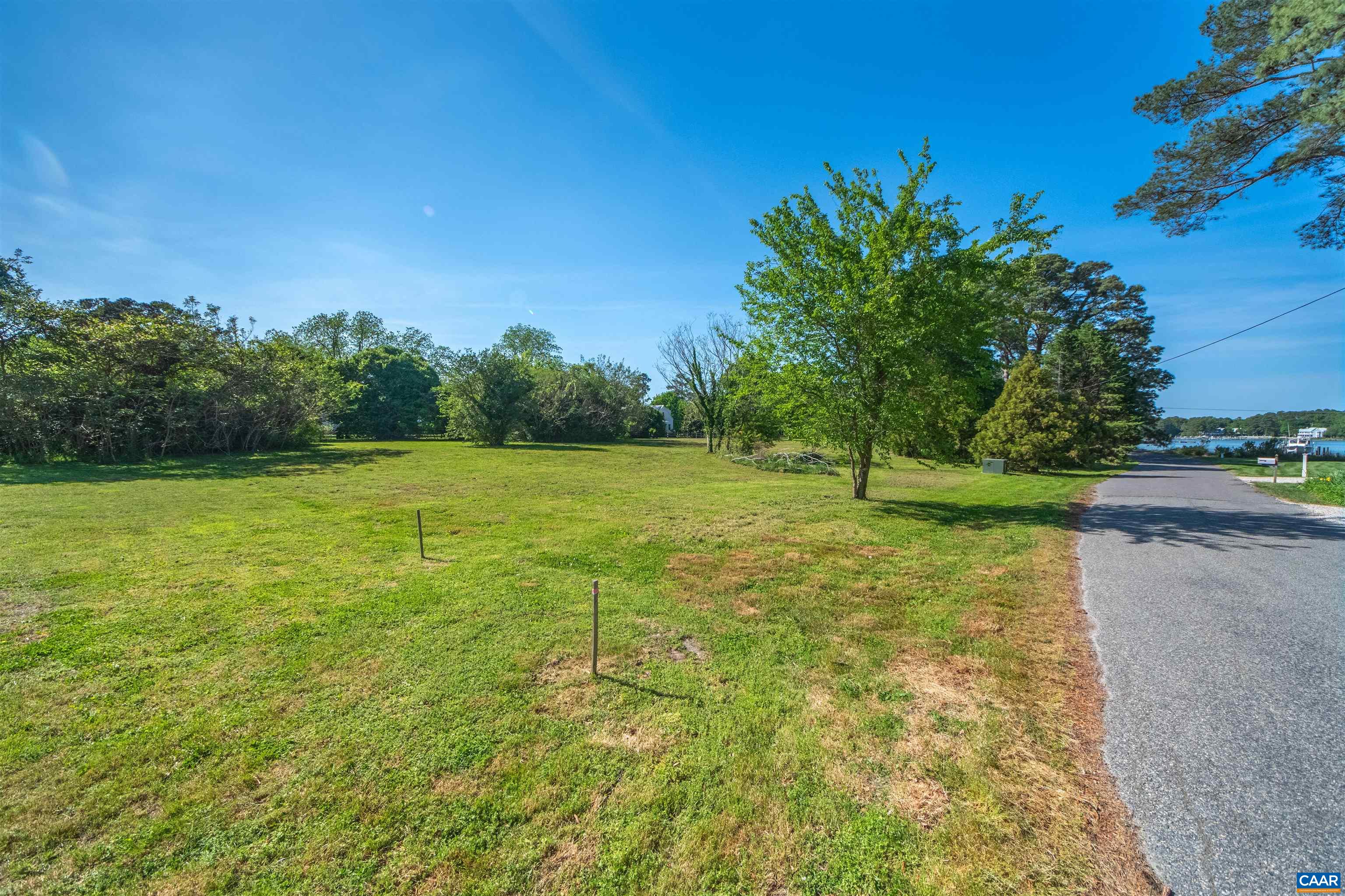 0 Fishing Bay Road Deltaville, VA 23043 - Photo 7 of 13 a view of a garden with a tree