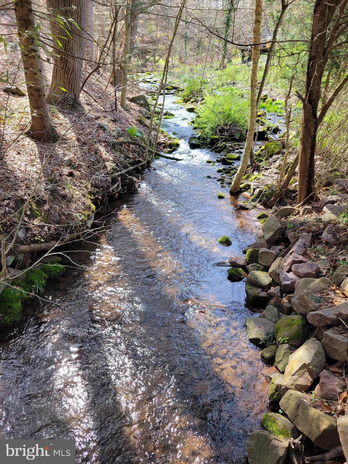 629 Cold Run Road Elverson, PA 19520 - Photo 12 of 36 Stream
