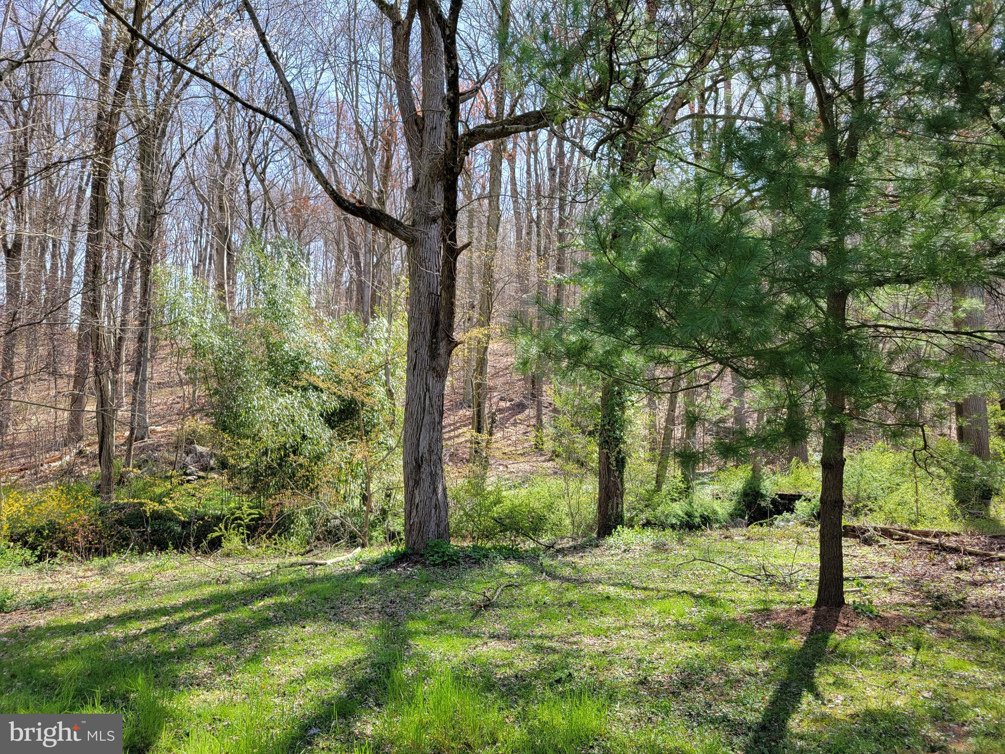 629 Cold Run Road Elverson, PA 19520 - Photo 34 of 36 Left Side Yard