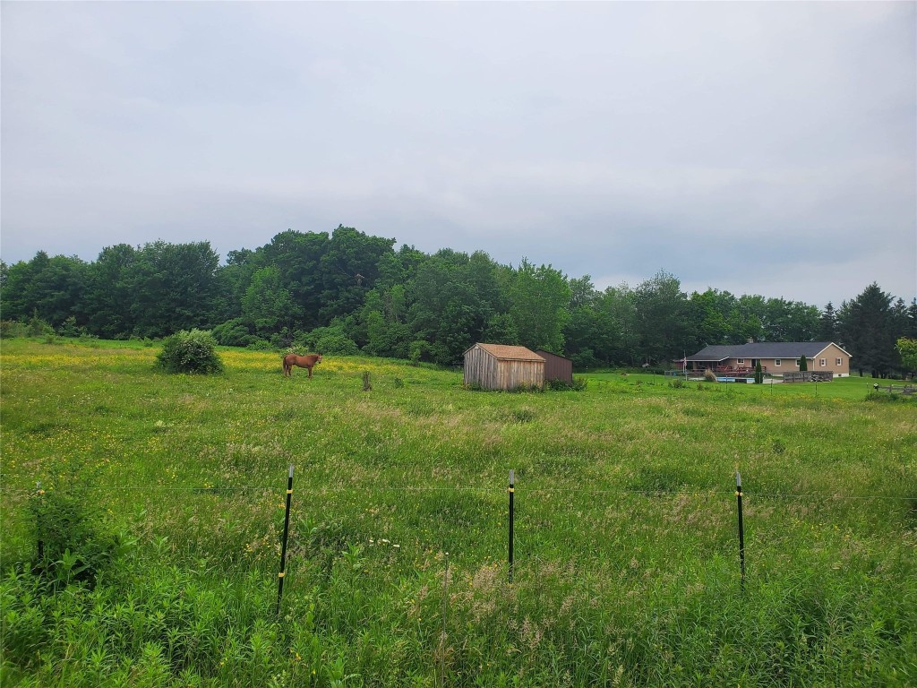154 Oliver Road Lisle, NY 13797 - Photo 19 of 27 Gallery Image 19