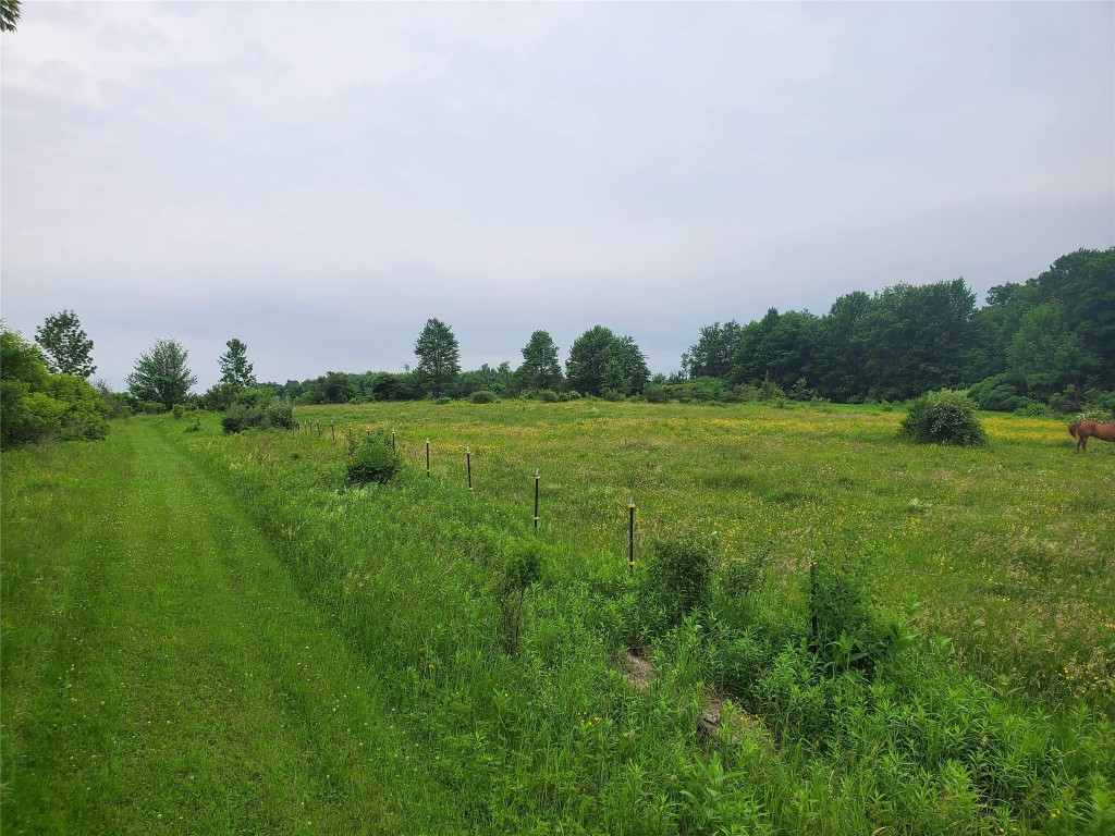 154 Oliver Road Lisle, NY 13797 - Photo 23 of 27 Gallery Image 23