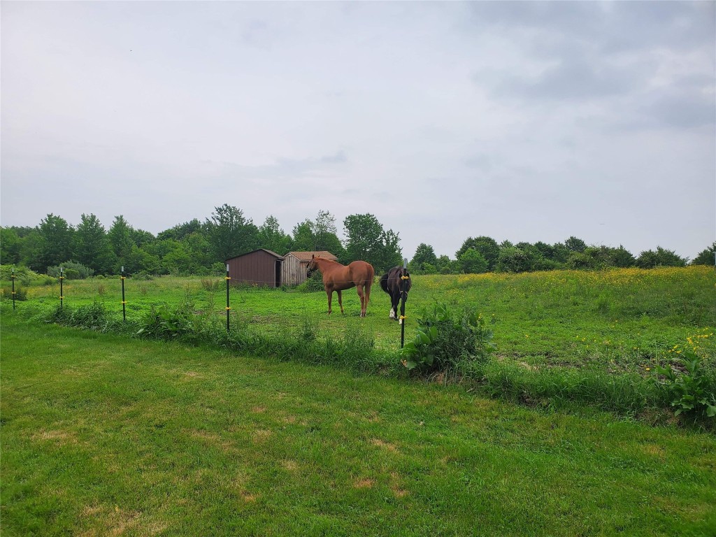 154 Oliver Road Lisle, NY 13797 - Photo 27 of 27 Gallery Image 27