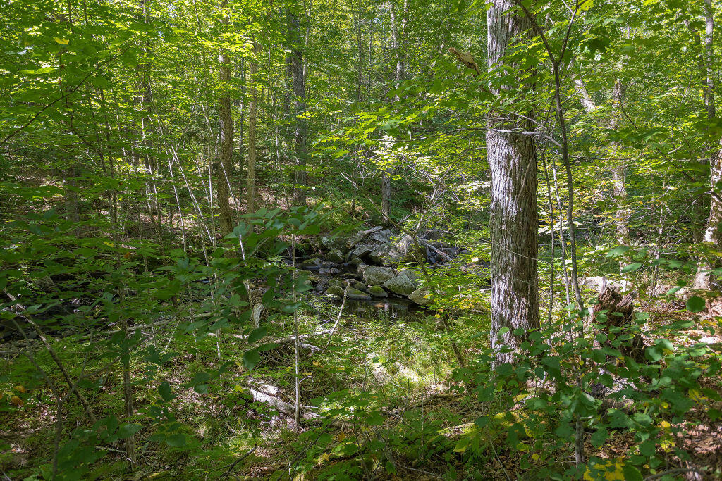 815 West Side Road Weld, ME 04285 - Photo 21 of 35 taylor-kaminsky-photo-5