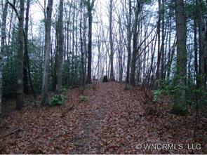 9999 Lipe Thompson Road Old Fort, NC 28762 - Photo 1 of 10 Gallery Image 1