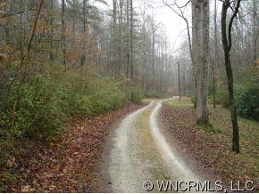 9999 Lipe Thompson Road Old Fort, NC 28762 - Photo 2 of 10 Gallery Image 2