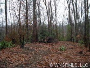 9999 Lipe Thompson Road Old Fort, NC 28762 - Photo 3 of 10 Gallery Image 3