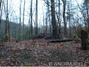 9999 Lipe Thompson Road Old Fort, NC 28762 - Photo 4 of 10 Gallery Image 4