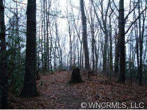 9999 Lipe Thompson Road Old Fort, NC 28762 - Photo 5 of 10 Gallery Image 5
