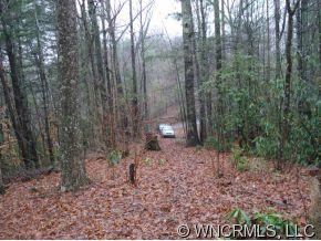 9999 Lipe Thompson Road Old Fort, NC 28762 - Photo 6 of 10 Gallery Image 6