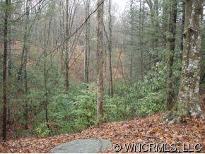 9999 Lipe Thompson Road Old Fort, NC 28762 - Photo 7 of 10 Gallery Image 7