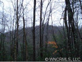9999 Lipe Thompson Road Old Fort, NC 28762 - Photo 8 of 10 Gallery Image 8
