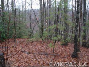 9999 Lipe Thompson Road Old Fort, NC 28762 - Photo 9 of 10 Gallery Image 9