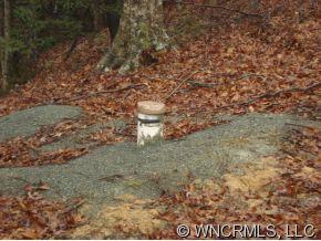 9999 Lipe Thompson Road Old Fort, NC 28762 - Photo 10 of 10 Gallery Image 10
