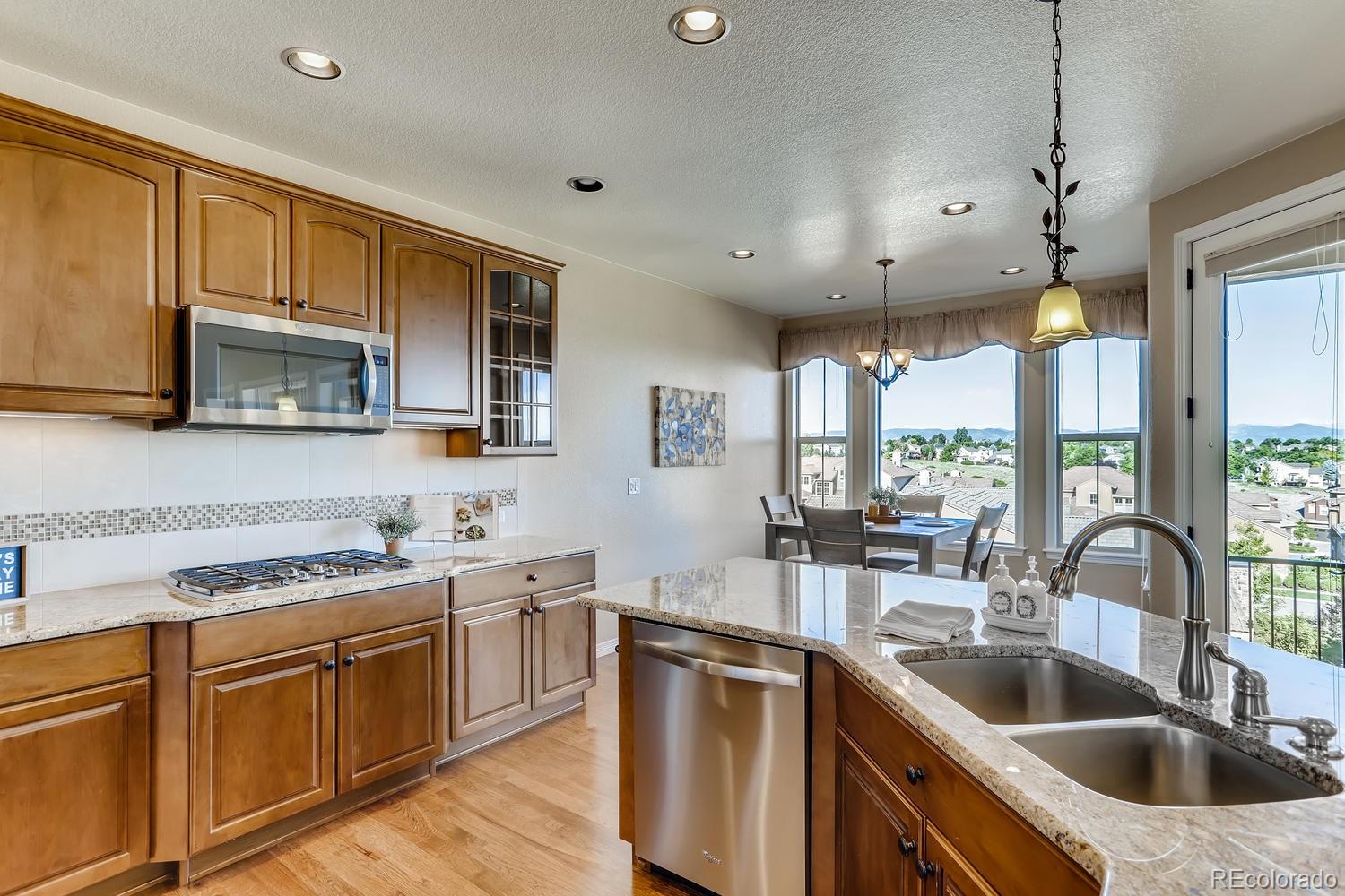 9529 Pendio Court Highlands Ranch, CO 80126 - Photo 11 of 38