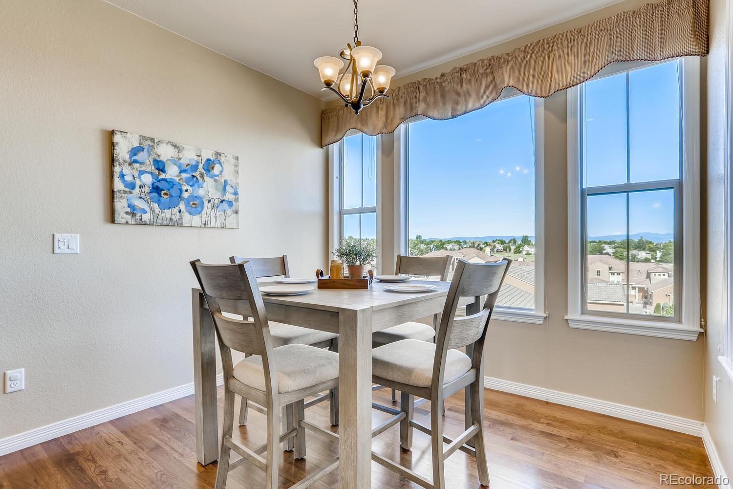 9529 Pendio Court Highlands Ranch, CO 80126 - Photo 12 of 38