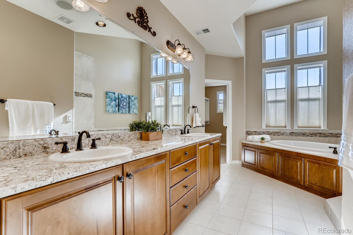 9529 Pendio Court Highlands Ranch, CO 80126 - Photo 19 of 38