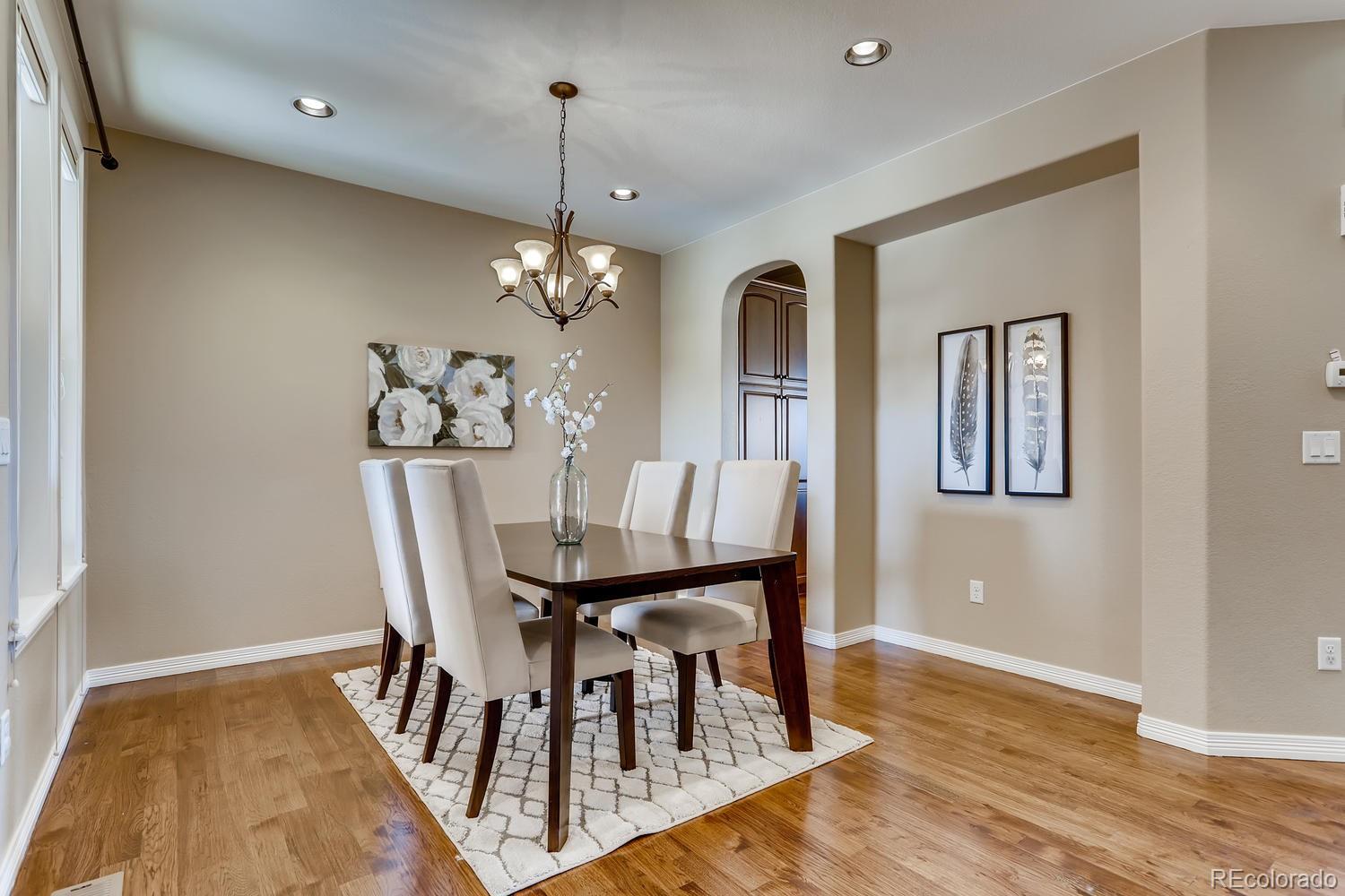 9529 Pendio Court Highlands Ranch, CO 80126 - Photo 3 of 38
