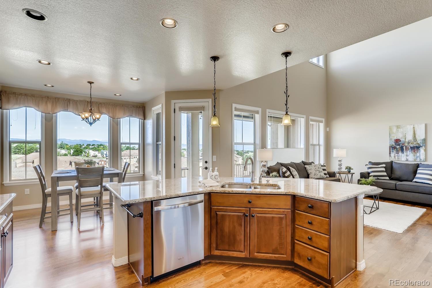 9529 Pendio Court Highlands Ranch, CO 80126 - Photo 10 of 38