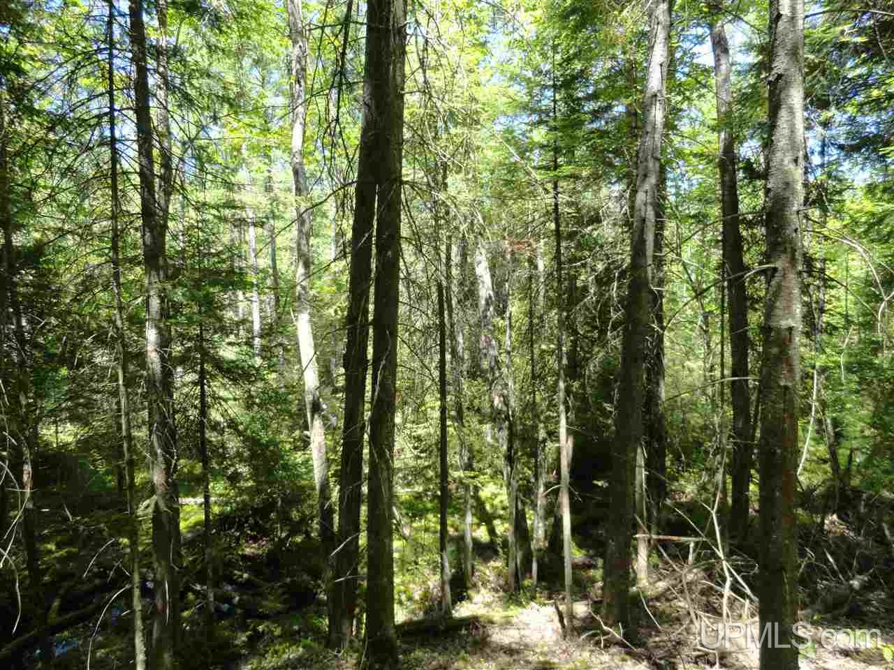 40 Two 2 Mile Creek Road Channing, MI 49815 - Photo 12 of 15