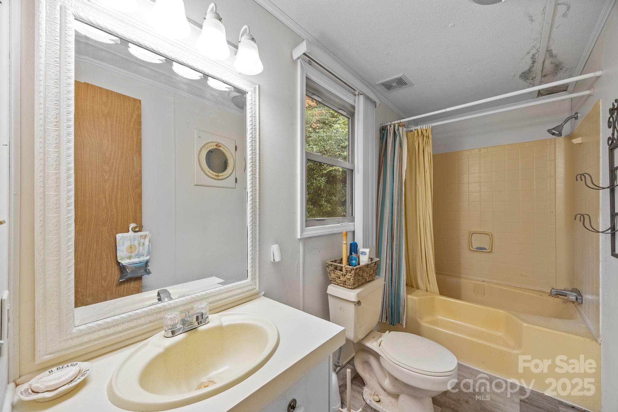 101 Serenity Lane Clyde, NC 28721 - Photo 17 of 26 a bathroom with a sink toilet mirror and shower