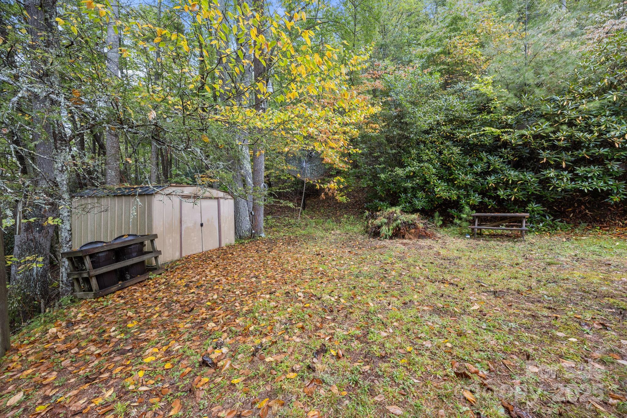 101 Serenity Lane Clyde, NC 28721 - Photo 24 of 26 a backyard of a house with lots of green space
