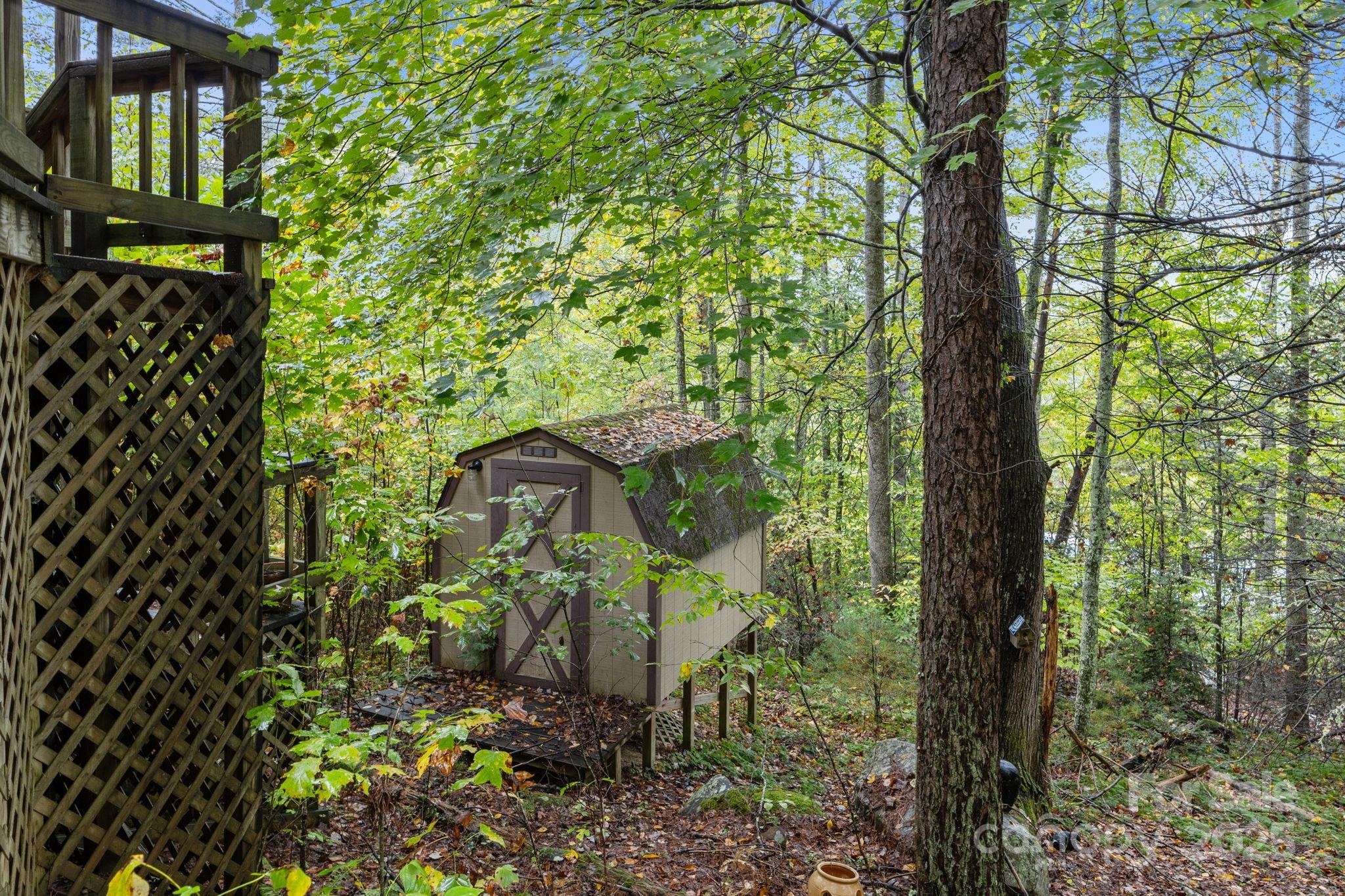 101 Serenity Lane Clyde, NC 28721 - Photo 25 of 26 a view of a garden with plants