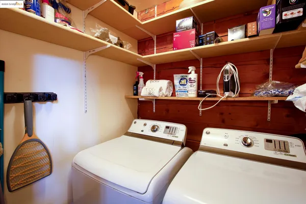 a view of backyard with tree