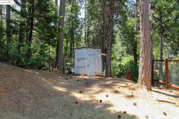 a view of backyard with wooden fence and a large tree