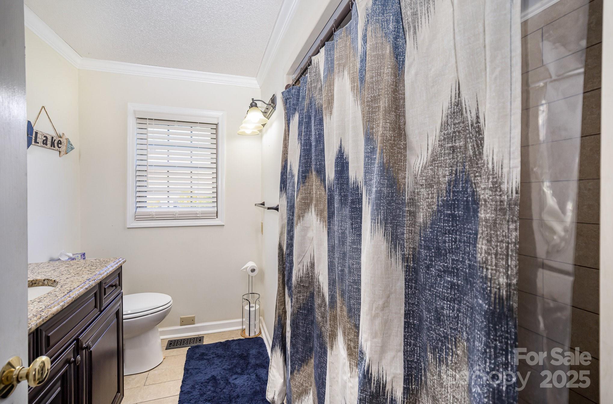 1435 Panther Point Road Richfield, NC 28137 - Photo 19 of 31 a bathroom with a granite countertop sink a toilet and shower