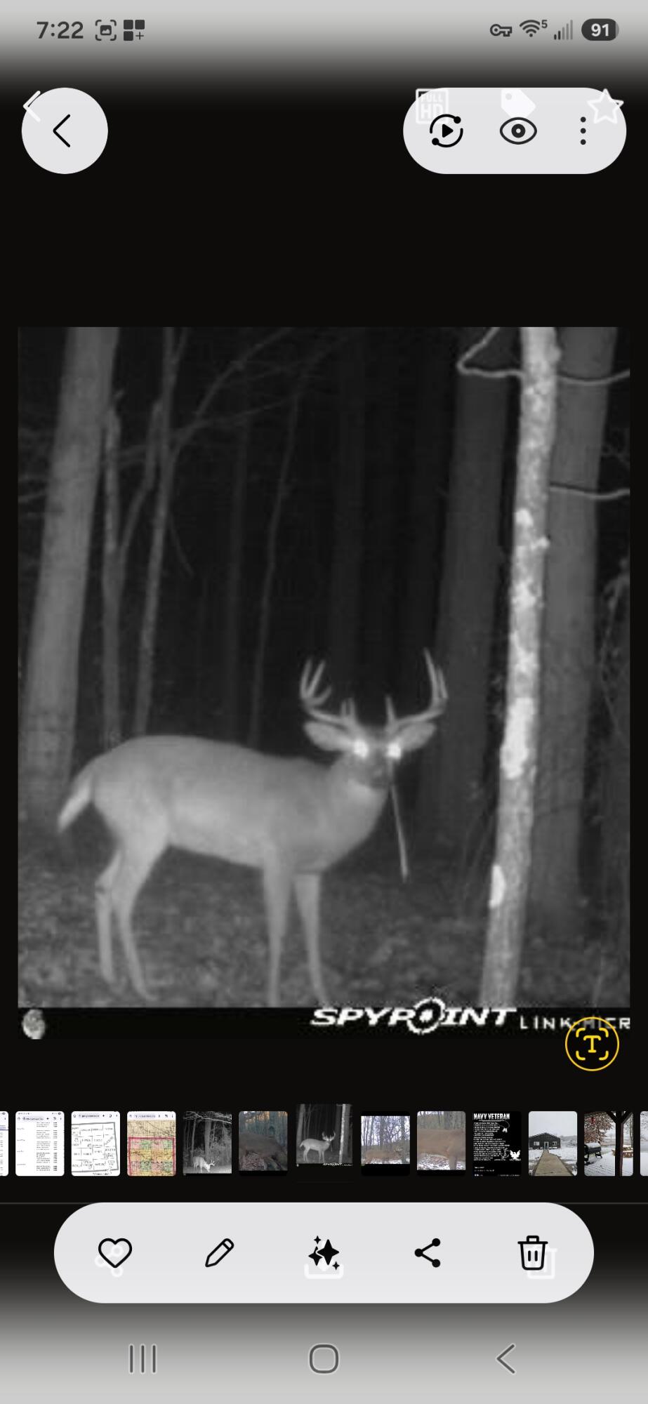 15303 Seymour Road Grass Lake, MI 49240 - Photo 83 of 96 1000006936