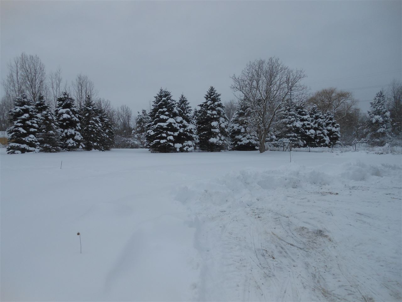 5300 Mertz Road Mayville, MI 48744 - Photo 3 of 23