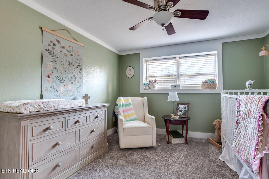 9526 Crisman Road Heiskell, TN 37754 - Photo 25 of 45 031250129-1-9526CrismanRdHeiskellTn-SCRE