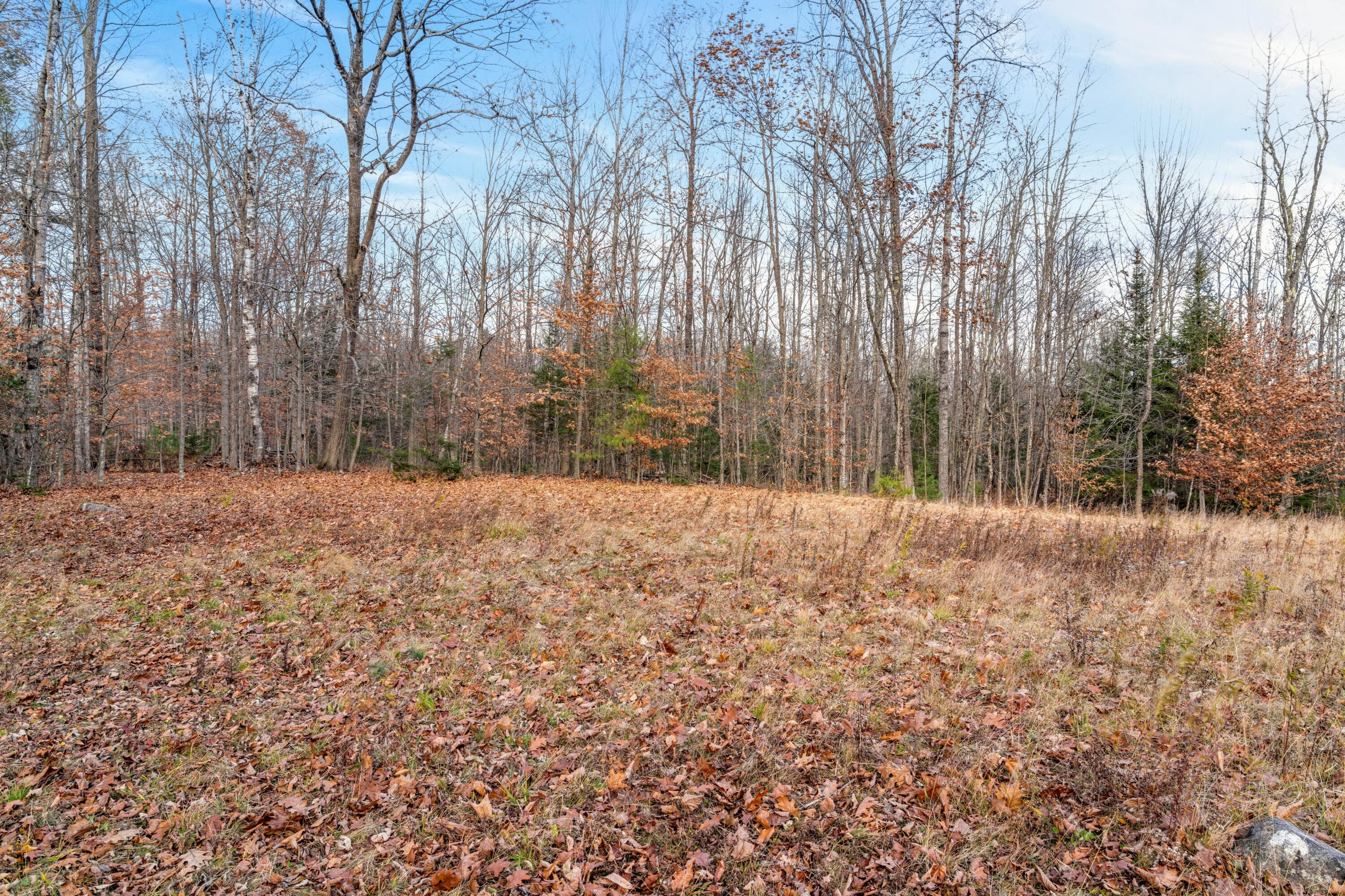 3079 Main Street Fayette, ME 04349 - Photo 33 of 42 DSC08204
