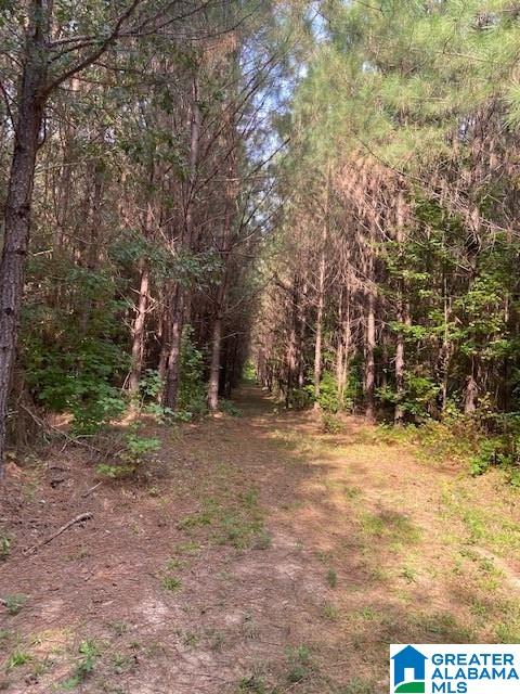0 County Road 652, Unit 1 Roanoke, AL 36274 - Photo 2 of 3