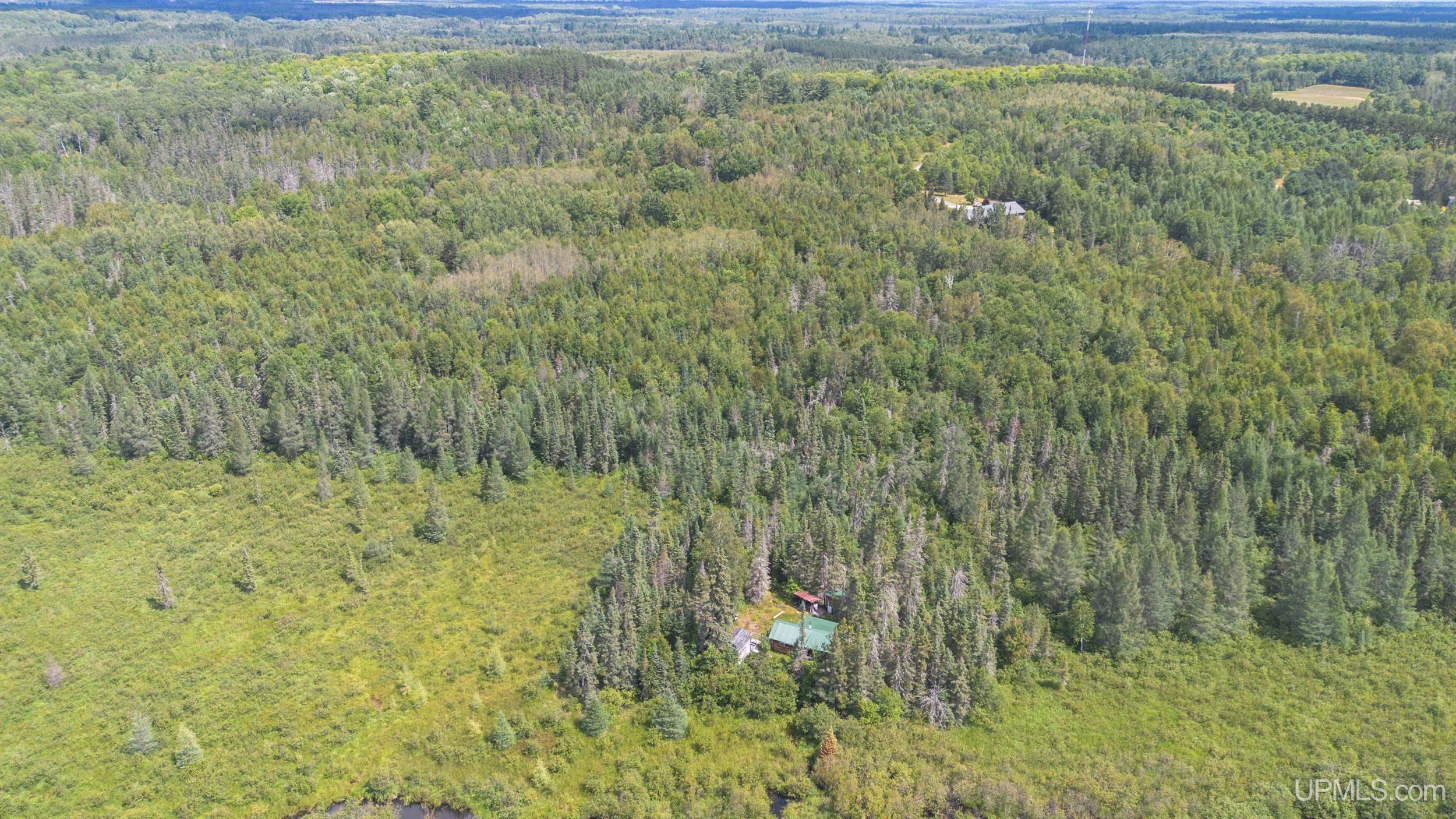 6551 Caps Creek Road Republic, MI 49879 - Photo 55 of 60 Gallery Image 55