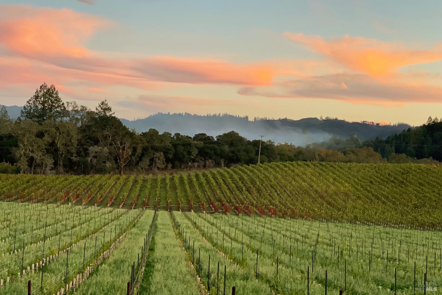 8320 Franz Valley Road Calistoga, CA 94515 - Photo 76 of 78