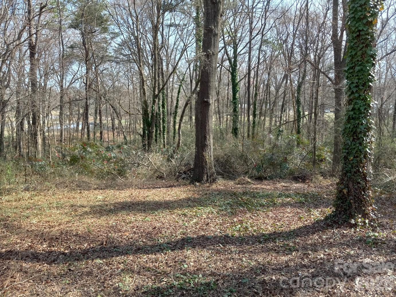 831 Unionville - Indian Trail Road West Monroe, NC 28110 - Photo 5 of 40