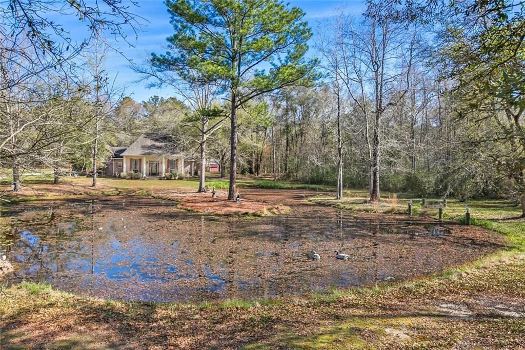 31109 Ogise Richardson Road Bush, LA 70431 - Photo 29 of 31