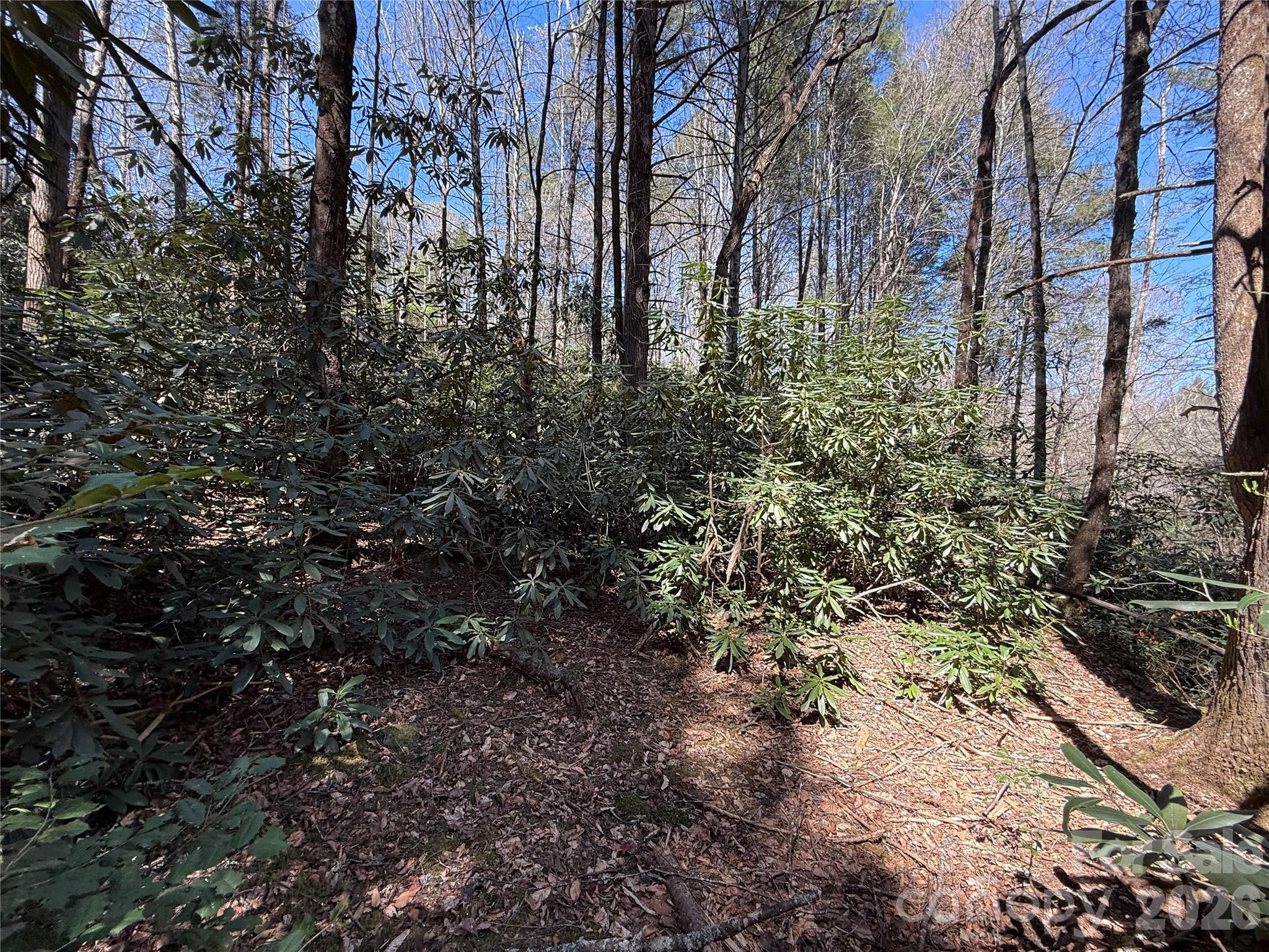 0 Kings Glen Road Old Fort, NC 28762 - Photo 44 of 47 Gallery Image 44