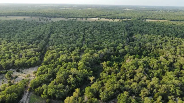 $550,000 | 1085 Private Road 3063, Thrall, TX 76578